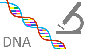 A colorful dna strand with the word rna underneath it.